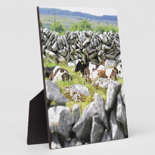 牛モー フォトプラーク (側面)