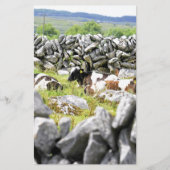 牛モー 便箋 (正面)