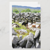 牛モー 便箋 (正面/裏面)