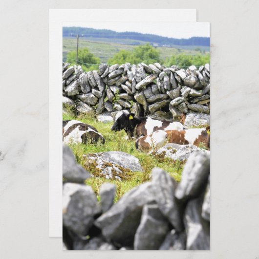 牛モー 便箋 (正面/裏面)