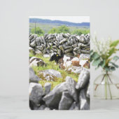 牛モー 便箋 (スタンド正面)