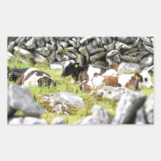 牛モー 長方形シール (正面)