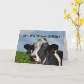 牛ユーモアのある牛の卒業祝い カード (黄色い花)