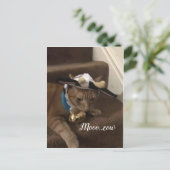 牛ランスロット ポストカード (スタンド正面)