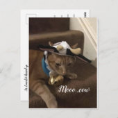 牛ランスロット ポストカード (正面/裏面)