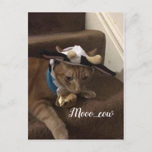 牛ランスロット ポストカード