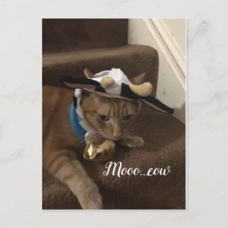 牛ランスロット ポストカード