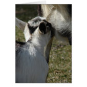 牛乳は良い (正面)