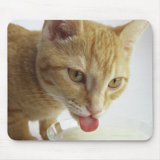 牛乳を飲む猫 マウスパッド (正面)