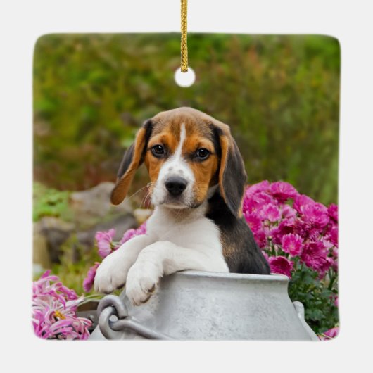 牛乳容器のかわいい三色のビーグル犬犬の子犬ペット セラミックオーナメント (裏面)