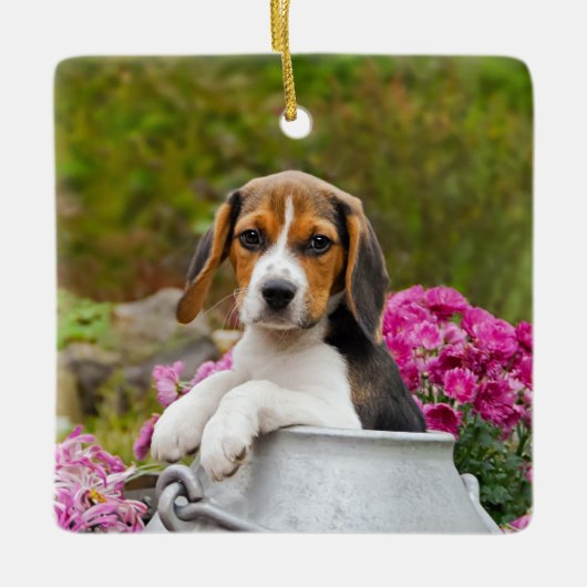 牛乳容器のかわいい三色のビーグル犬犬の子犬ペット セラミックオーナメント (正面)