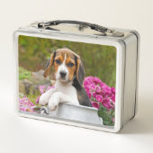 牛乳容器のかわいい三色のビーグル犬犬の子犬ペット メタルランチボックス (裏面)