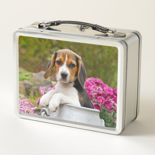牛乳容器のかわいい三色のビーグル犬犬の子犬ペット メタルランチボックス (裏面)