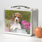 牛乳容器のかわいい三色のビーグル犬犬の子犬ペット メタルランチボックス (インサイチュ)