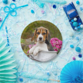 牛乳容器のパーティーのかわいい三色のビーグル犬犬の子犬 ペーパープレート (パーティー)