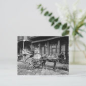 牛乳配達用馬車 1903年 ポストカード (スタンド正面)