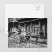 牛乳配達用馬車 1903年 ポストカード (正面/裏面)