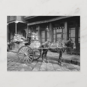 牛乳配達用馬車 1903年 ポストカード