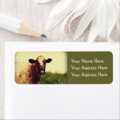 牛写真 ラベル (インサイチュ)