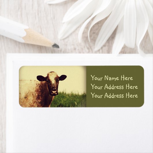 牛写真 ラベル (インサイチュ)