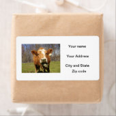 牛出荷ラベル ラベル (インサイチュ)