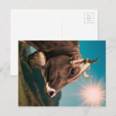 牛威厳のある葉書 ポストカード (正面/裏面)