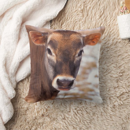 牛子牛の顔 クッション (ブランケット)