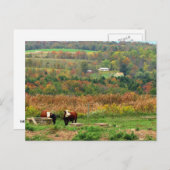 牛小屋 ポストカード (正面/裏面)