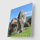 牛時計を牧草を食べること スクエア壁時計 (傾斜)