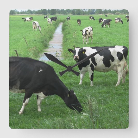 牛時計 スクエア壁時計 (正面)