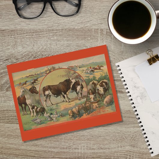 牛牧場の動物 レース トラックの風景 ポストカード