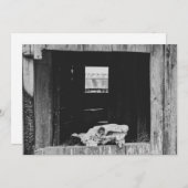 牛牧場 シーズンカード (正面/裏面)