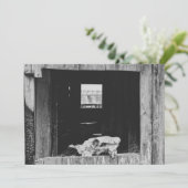 牛牧場 シーズンカード (スタンド正面)