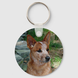 牛犬 キーホルダー
