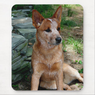 牛犬 マウスパッド