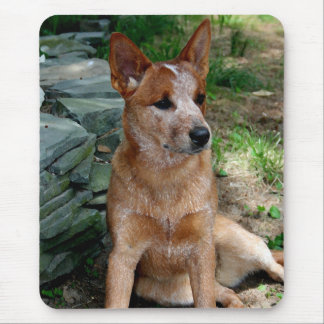 牛犬 マウスパッド
