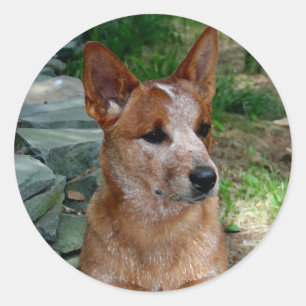 牛犬 ラウンドシール