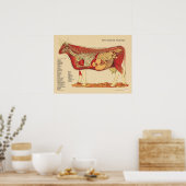 牛獣医の内部解剖図 ポスター (キッチン)