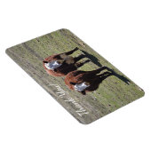 牛男らしありがとう マグネット (右側)