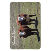 牛男らしありがとう マグネット (縦)