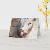 牛盗品の鼻の挨拶状 カード (黄色い花)