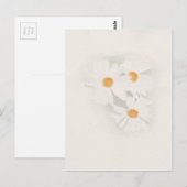 牛目デイジー ポストカード (正面/裏面)