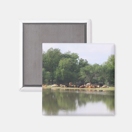 牛磁石 マグネット (正面/裏面)