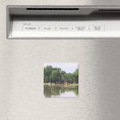 牛磁石 マグネット (インサイチュ (食洗機))