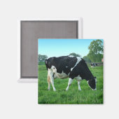 牛磁石 マグネット (正面/裏面)