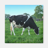 牛磁石 マグネット (正面)