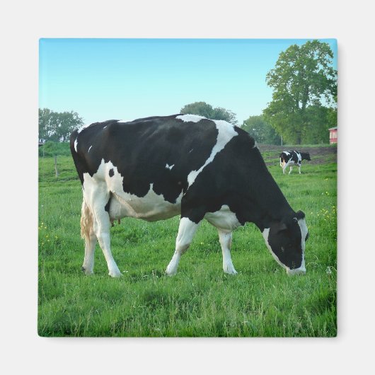 牛磁石 マグネット (正面)