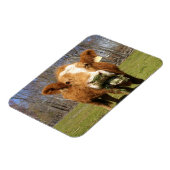 牛磁石 マグネット (左側)