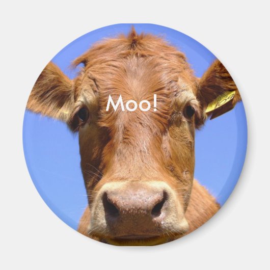 牛磁石 マグネット (正面)