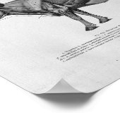 牛筋解剖学ヴィンテージプリント ポスター (角)